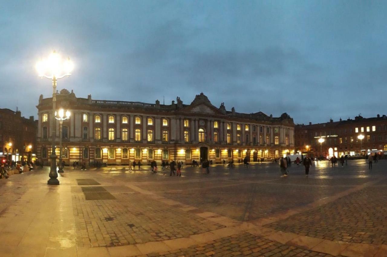 :) Grand Studio Lumineux A Toulouse Et Parking Dış mekan fotoğraf
