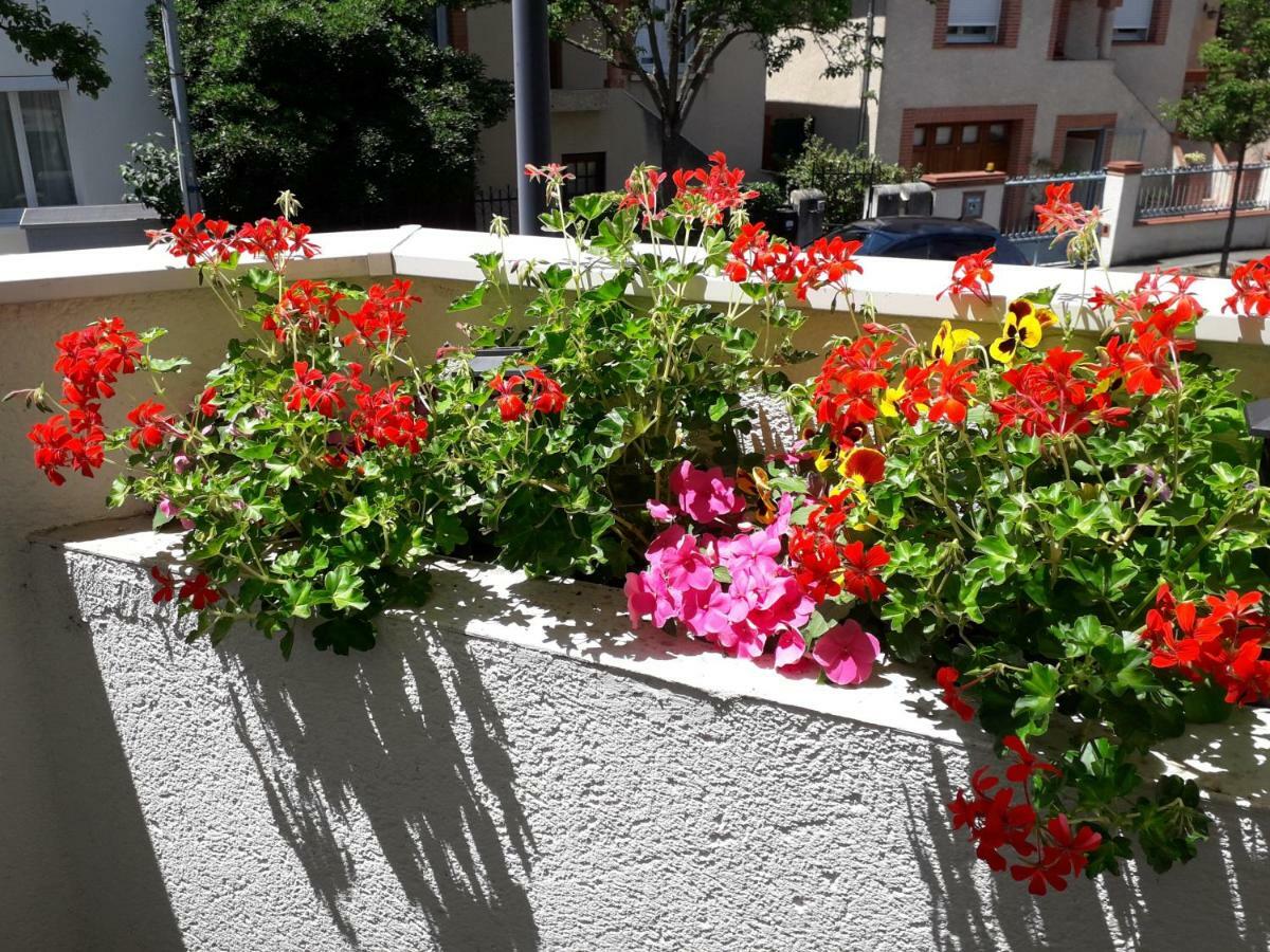 :) Grand Studio Lumineux A Toulouse Et Parking Dış mekan fotoğraf